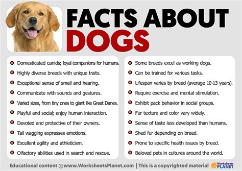 家犬|Dog, facts and photos